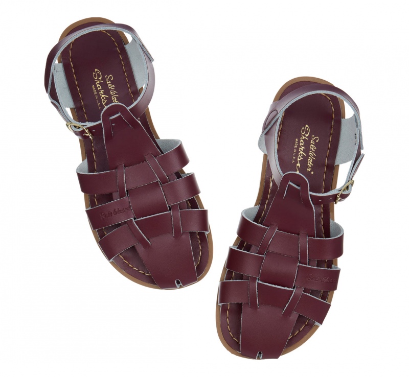 Kids' Salt Water Shark Original Sandals Claret | 74HQDCMFN